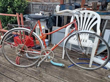 Photo of free Motobecane Ladies sports/tourer bicycle (Whipps Cross E17) #1