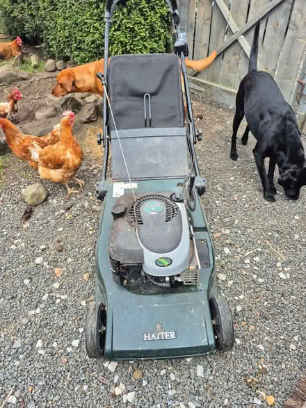 Photo of free Petrol lawn mower (Whittle Hill NE61) #2