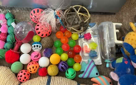 Photo of free Large bundle of cat toys (Chorley PR6) #3