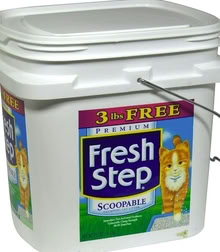 Photo of plastic bucket with lid (downtown Edmonds) #1