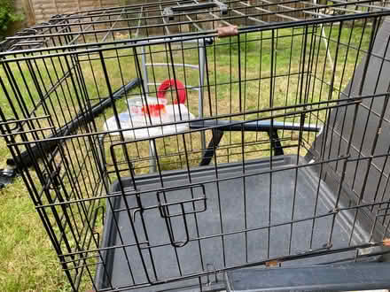 Photo of free Cat or small dog crate (Southborough TN4) #1