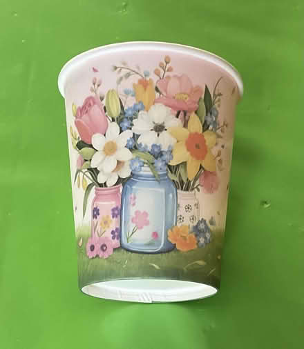 Photo of free Paper Party Cups (HAILSHAM, north east. BN27) #1