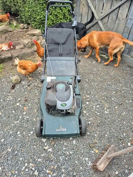 Photo of free Petrol lawn mower (Whittle Hill NE61) #1