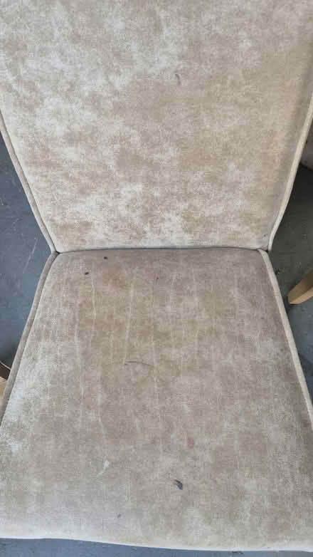 Photo of free 8 x chairs (Hastings TN37) #4