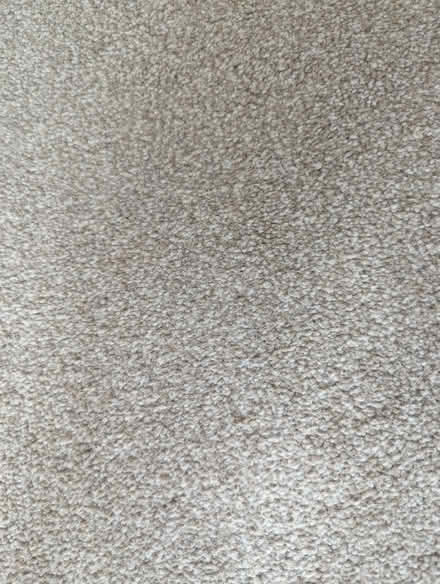 Photo of free Beige carpet 2400 x 2750 cm and underlay (Headington OX3) #2