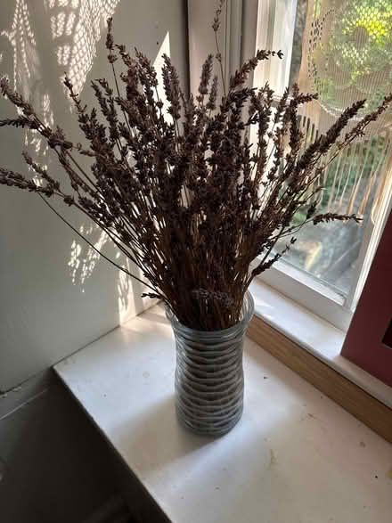 Photo of free Lavender bouquet + vase (Croton-on-Hudson) #1