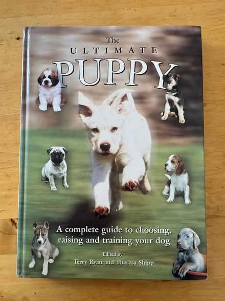 Photo of free Puppy guide (Highfields Caldecote) #1