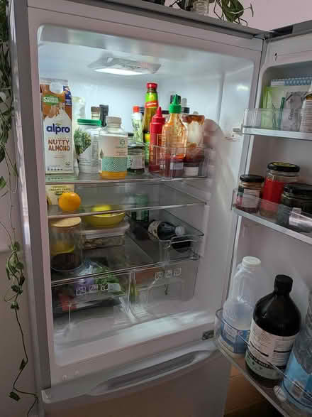 Photo of free Hoover fridge freezer (N16 9PQ) #2