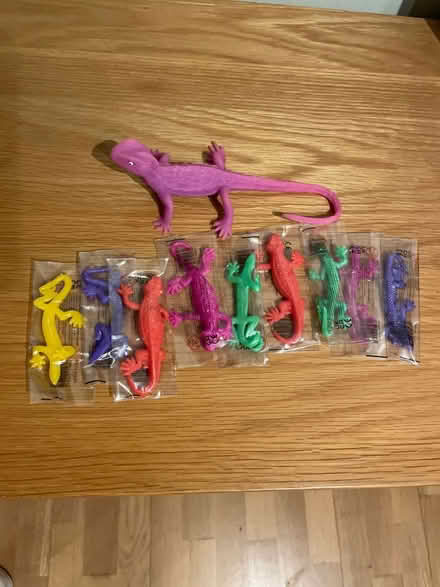 Photo of free Toy lizards (Chessington KT9) #1