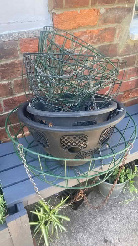 Photo of free Hanging baskets (Westbury BA13) #1