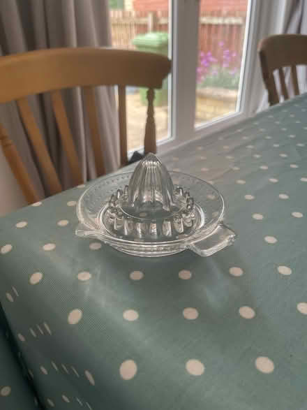 Photo of free Lemon juicer (Penrith CA11) #1