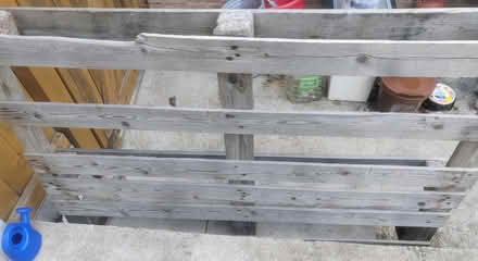 Photo of free Wooden Palette (Loughton IG10) #1