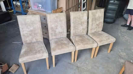 Photo of free 8 x chairs (Hastings TN37) #2