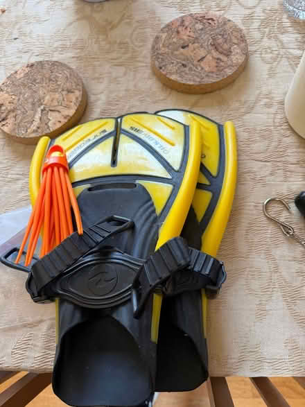 Photo of free Swimming fins and gear (El Cerrito) #1