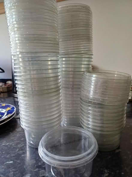 Photo of free 50 empty houmous tubs (Northcourt OX14) #1