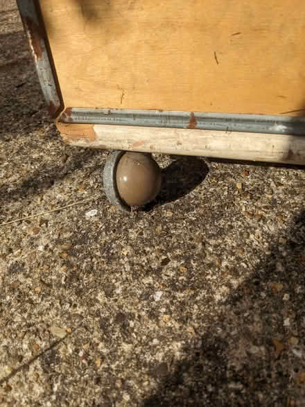 Photo of free Plywood Chest on Castors - Large - please read - to go (Racecourse IP3) #2