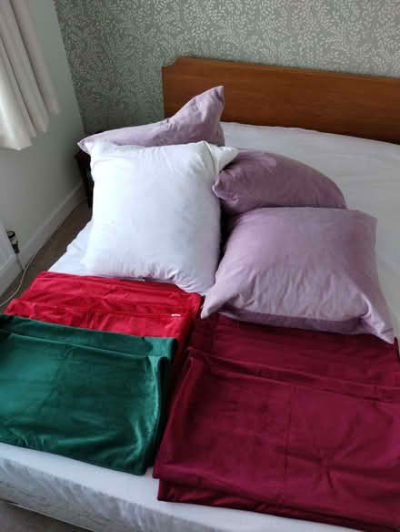 Photo of free Feather Cushions & Covers (New Inn NP4) #1