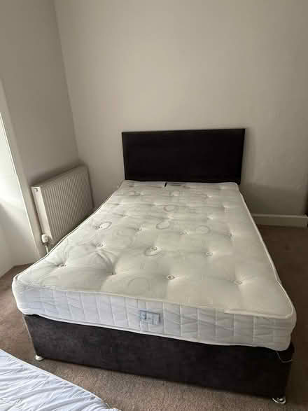 Photo of free Double Bed & Matress (Lochend EH7) #1