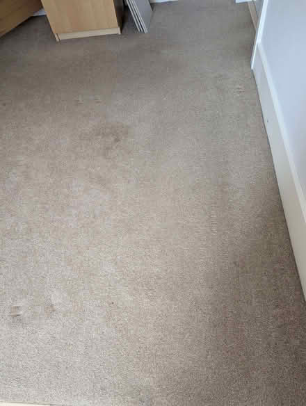 Photo of free Beige carpet 2400 x 2750 cm and underlay (Headington OX3) #1