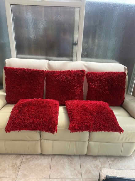 Photo of free large red cushions (Stanstead St Margarets SG12) #1