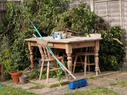 Photo of free Privet hedge cuttings firewood (Mulbarton NR14) #1