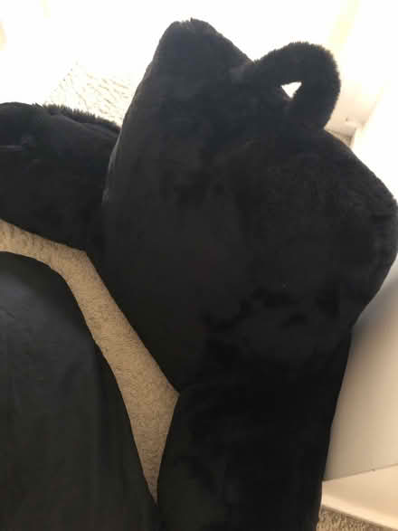 Photo of free Couple support cushion (Watnall NG16) #2