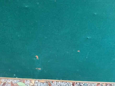 Photo of free Very large notice board (Malvern Link WR13) #2