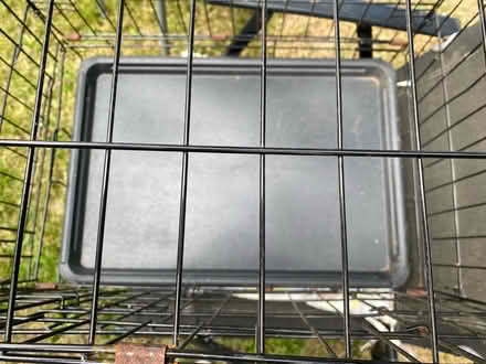 Photo of free Cat or small dog crate (Southborough TN4) #2