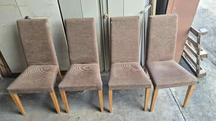 Photo of free Chairs (Hastings TN37) #1