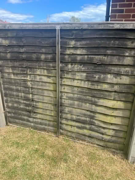 Photo of free Fence panels (Middleton on sea) #2