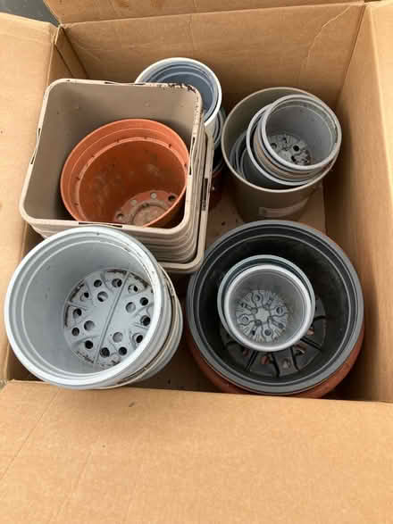 Photo of free Plant pots (Stock CM4) #1