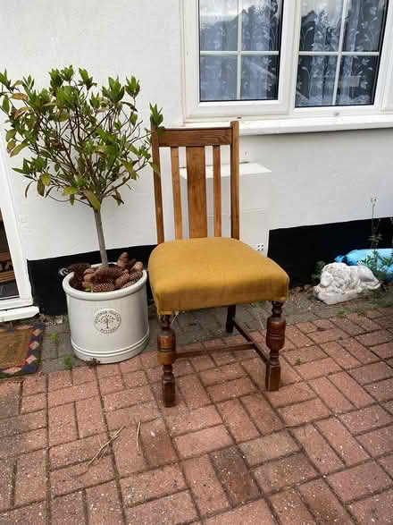 Photo of free Chair (Epsom common KT18 7SZ) #1
