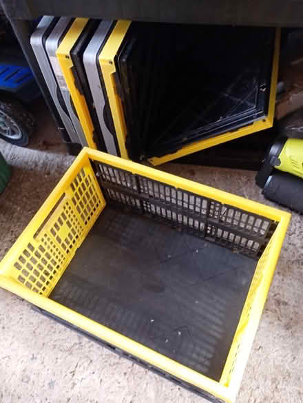 Photo of free 7 plastic foldable crates (Elmstead Market CO77AJ) #1