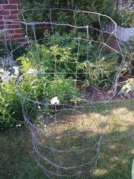 Photo of free Plants climbing frames x 2 (GU3 1JQ Compton) #1