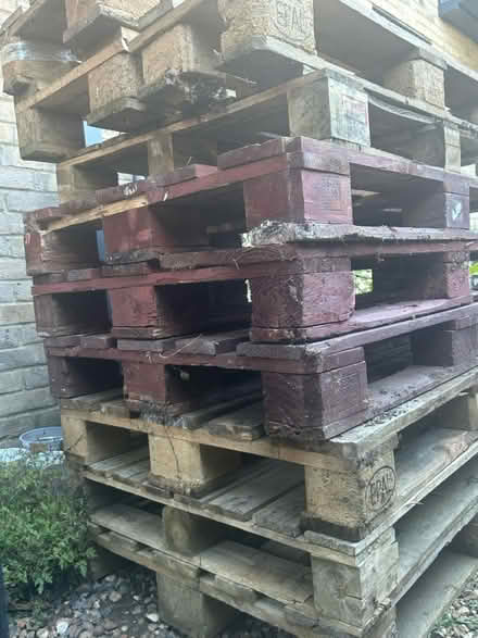 Photo of free Small Euro pallets (Chipping Barnet EN5) #3