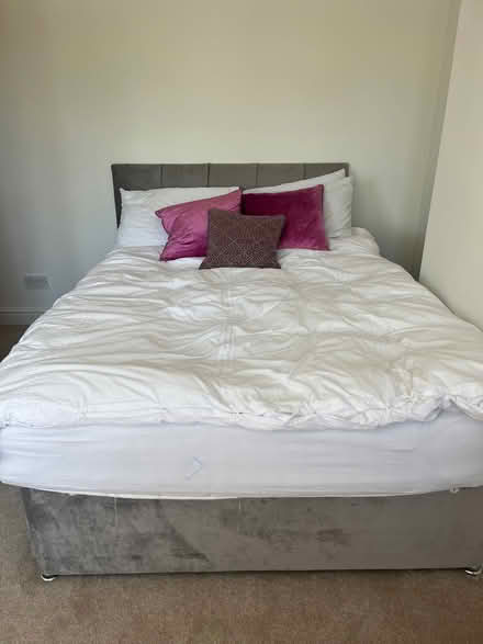 Photo of free Double bed (Great Baddow CM2) #1