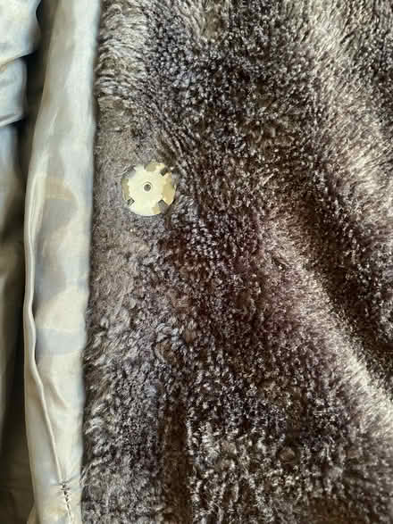 Photo of free Fake fur coat size L (DE7) #2
