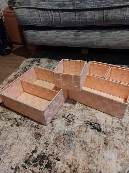Photo of free Pink sorting trays (CH48) #1