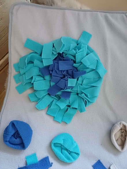 Photo of free Dogs Snuffle mat (Alcester Lanes End B13) #3