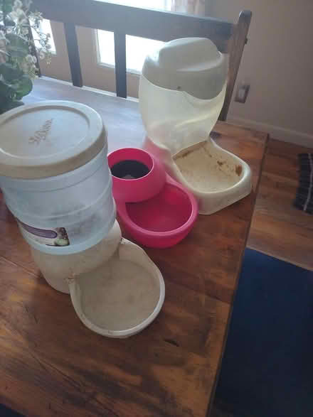 Photo of free Pet feeders/water (NE Heights) #1