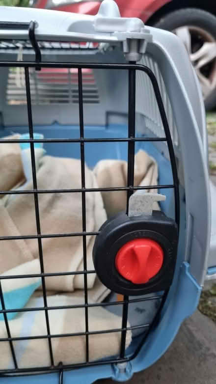 Photo of free Cat carrier (Irlams o th Height M6) #4