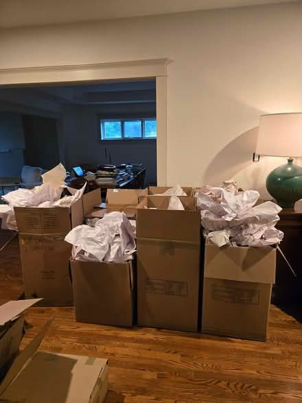 Photo of free Packing paper and boxes (New Edinburgh) #1