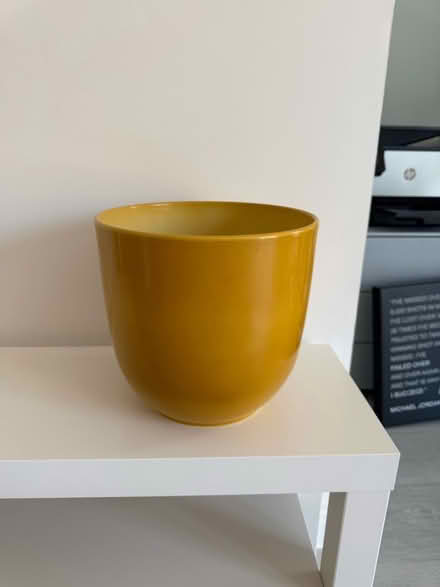 Photo of free Plant pot (Reading West RG1) #1