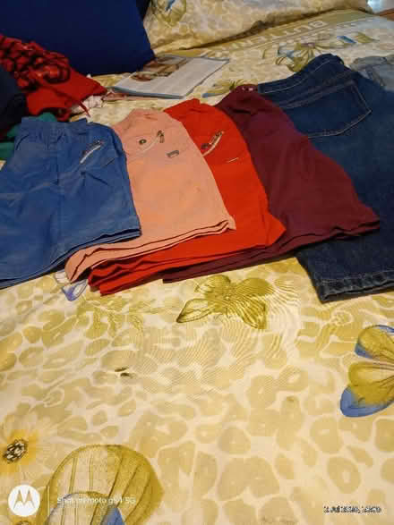 Photo of free Ladies shorts (Drylaw EH4) #1