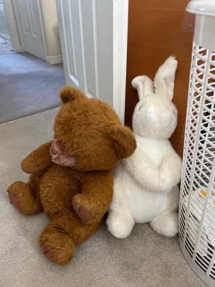 Photo of free Teddy / rabbit cuddly toy (SE28) #1