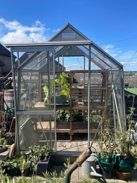 Photo of free Crittall Greenhouse (Littleworth GL5) #1