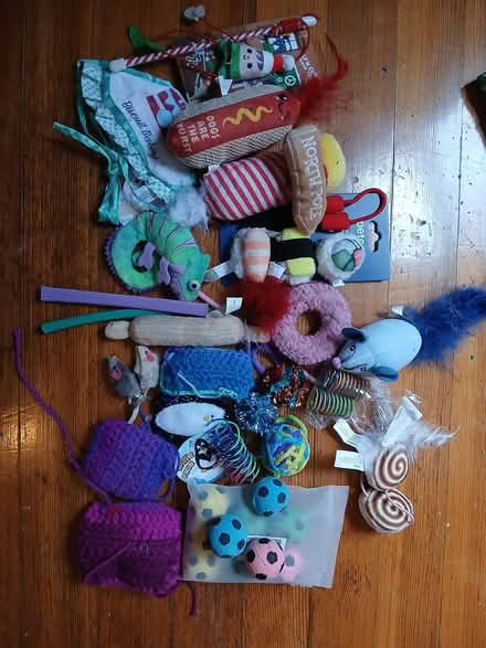 Photo of free Bag of Cat Toys (Ball Square) #1
