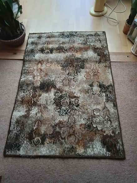 Photo of free Rugs (PO15 Hill Park) #1