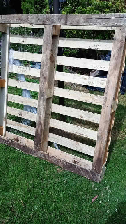 Photo of free Pallet (EH12 Saughtonhall) #1