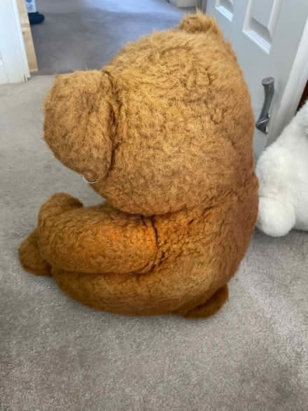 Photo of free Teddy / rabbit cuddly toy (SE28) #3